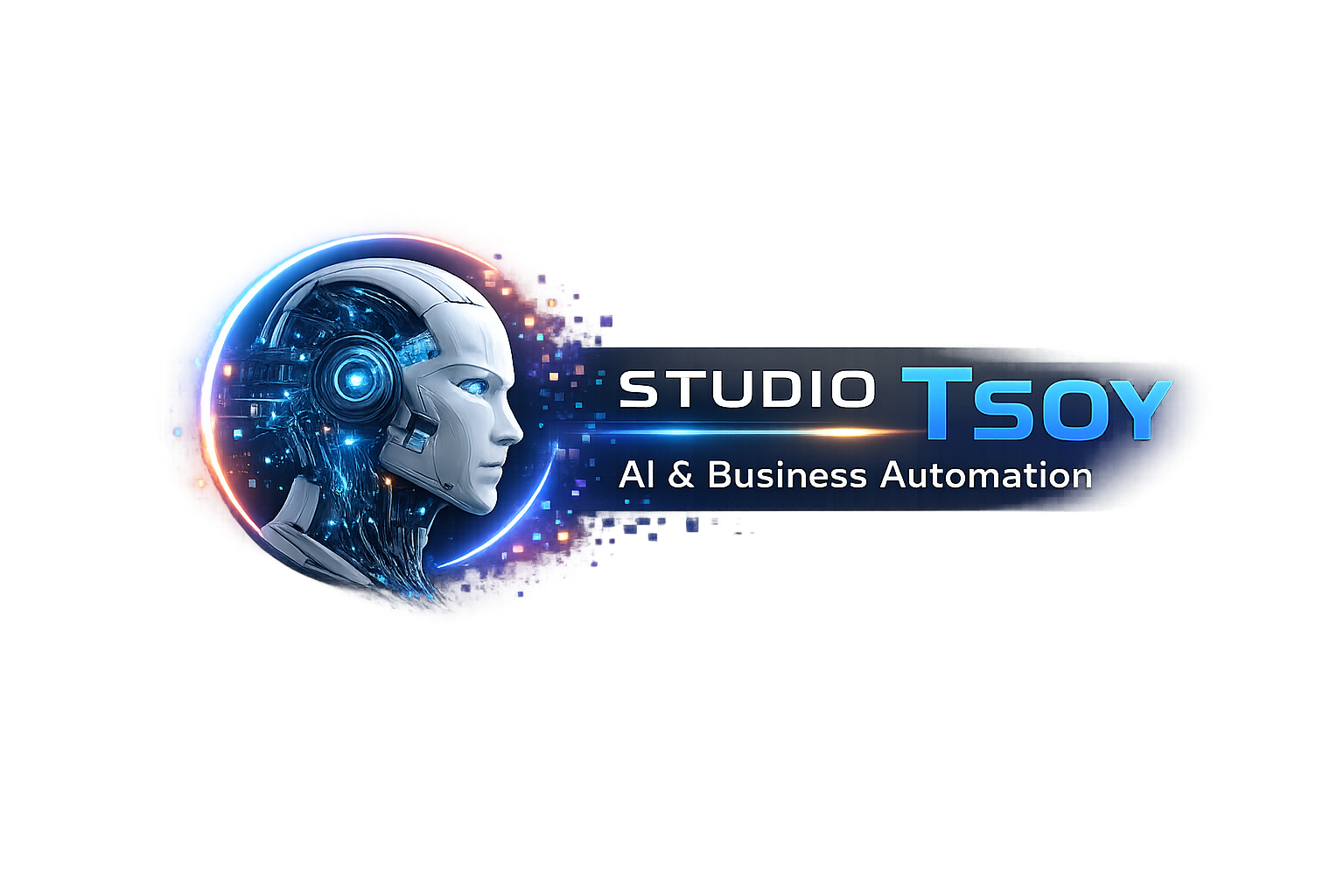 STUDIO TSOY